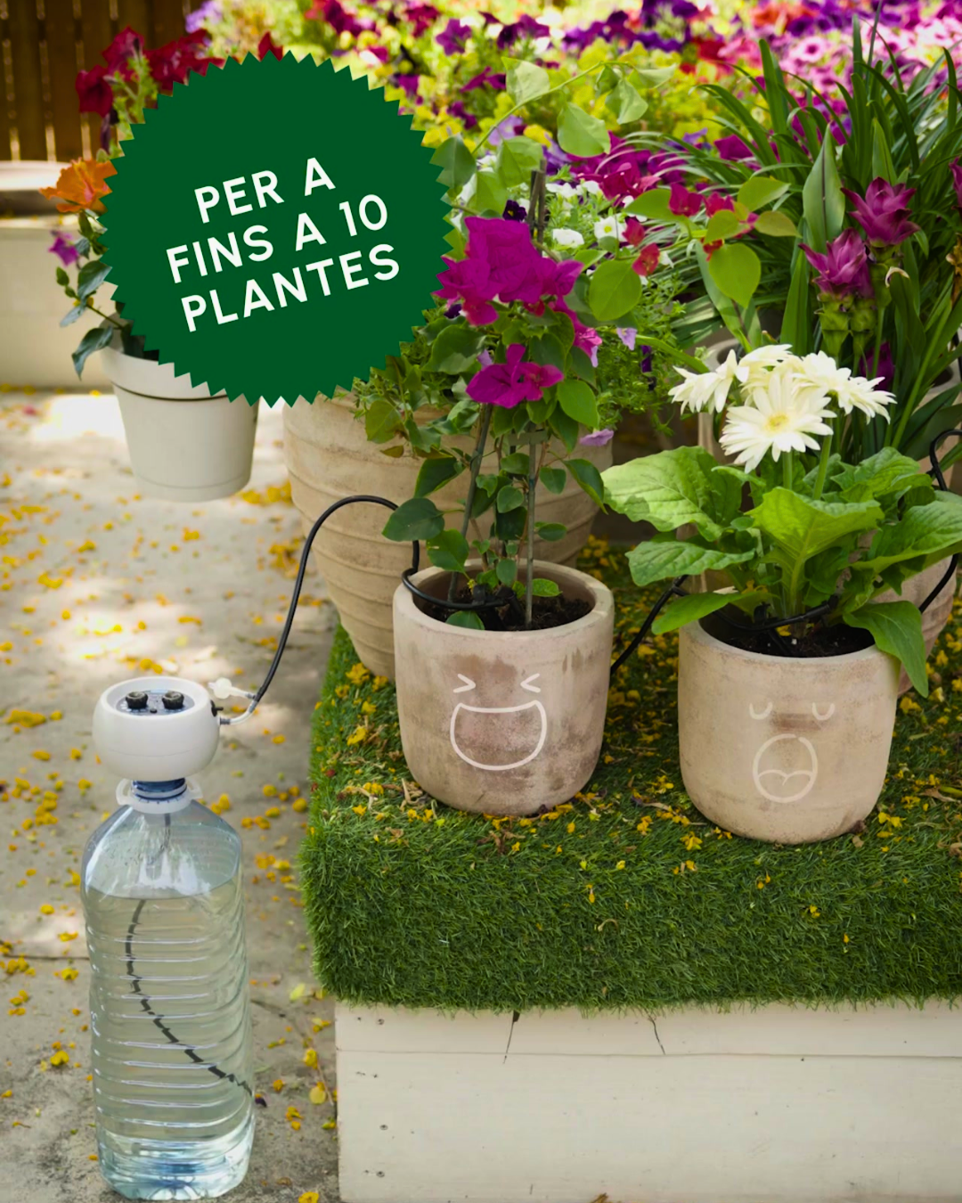 Vas de vacances i estàs preocupat per les teves plantes? Aquí tens la solució perfecta!